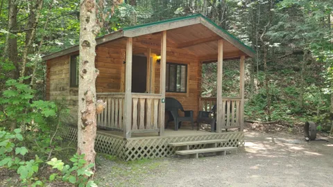 Cabin- One Room, Wooded — image 1 of 10
