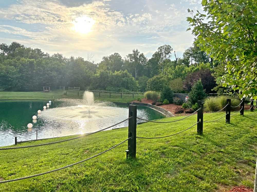 Park Image 8