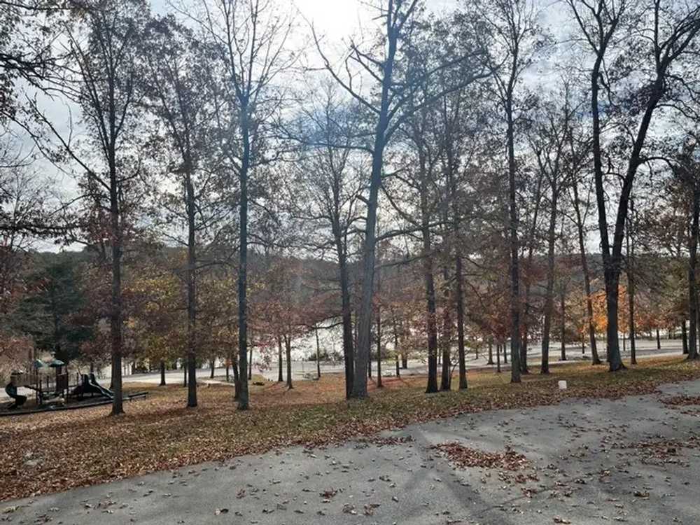 Cave Creek Campground - Falls of Rough, KY - Photo 4