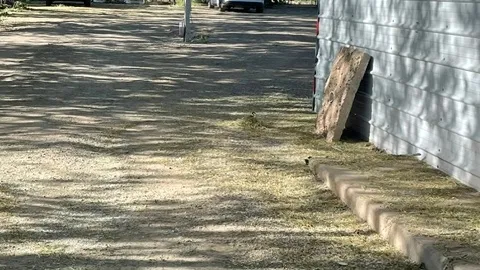 50 amp Pull-Through RV Site — image 1 of 4