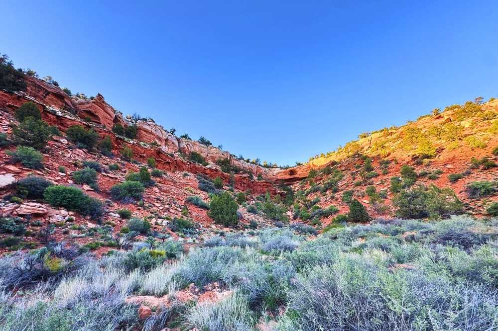 Park Image 5