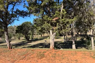 YMCA of the Highland Lakes at Galloway Hammond RV Park – photo 4