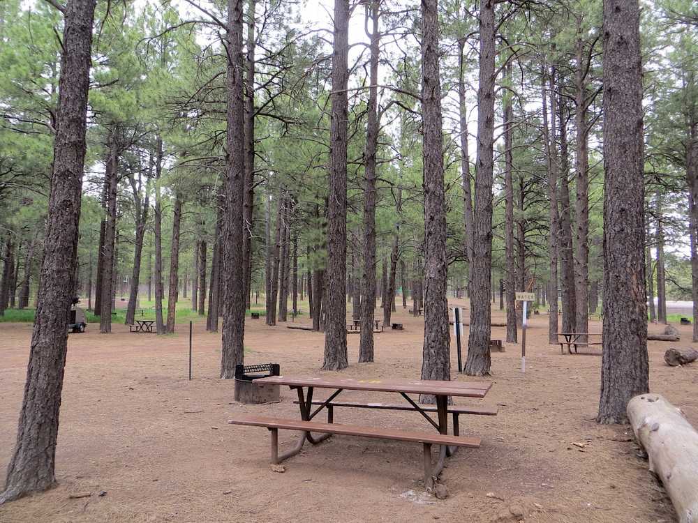 Fort Tuthill County Campground - Photo 5
