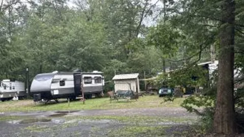RV site wooded area — image 3 of 3