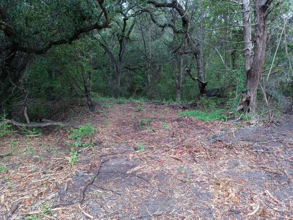 Park Image 2