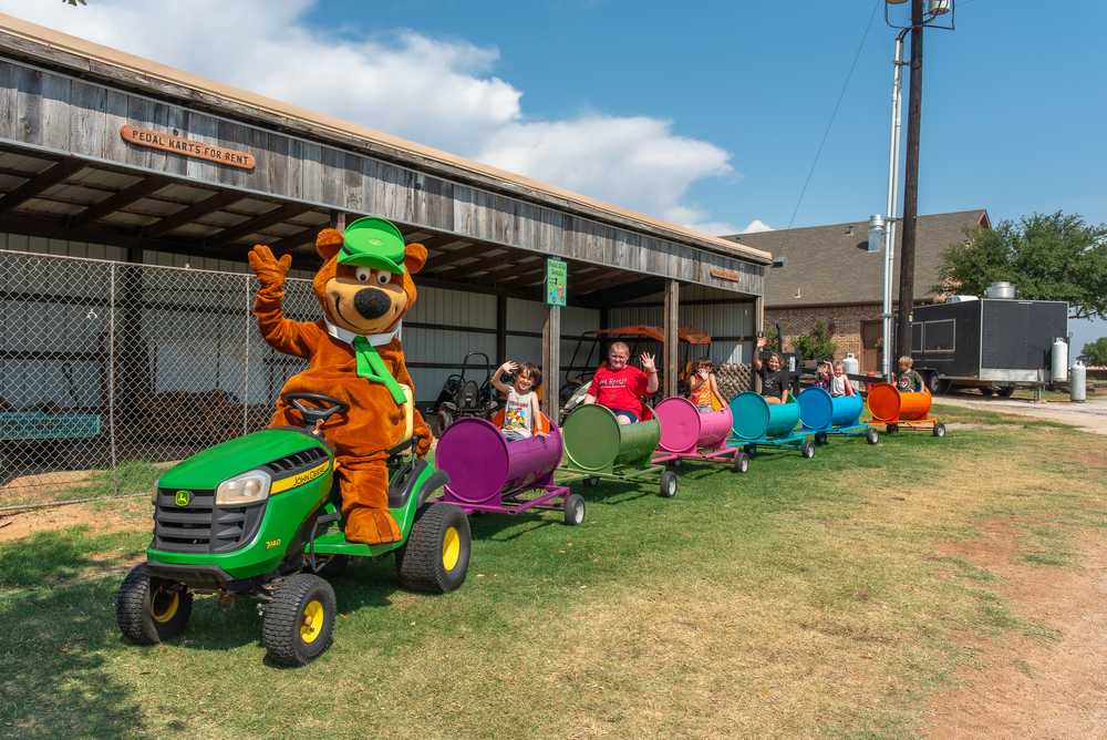 Yogi Bear's Jellystone Park™ Camp-Resort: Wichita Falls - Photo 5