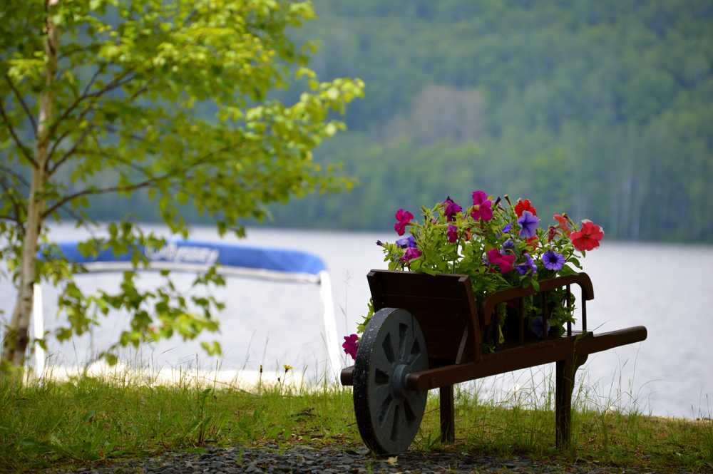 Birch Haven Campground, Eagle Lake, Maine - Photo 2