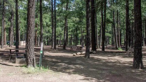 Primitive Tent Site — image 2 of 3