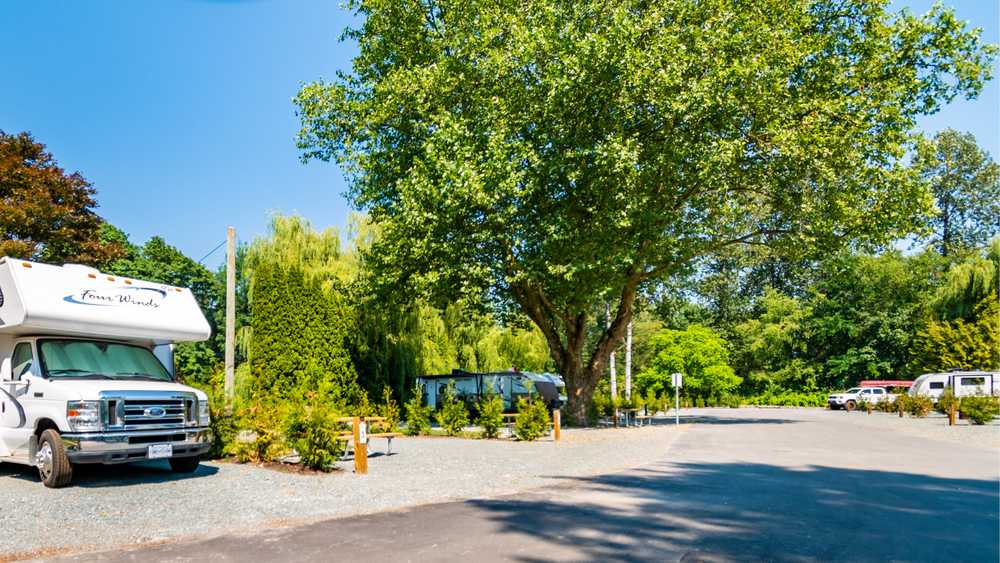 Pathfinder Camp Resorts- Agassiz-Harrison - Photo 4