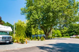 Pathfinder Camp Resorts- Agassiz-Harrison – photo 4