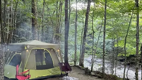 Tent Site on the River - Premium — image 4 of 4