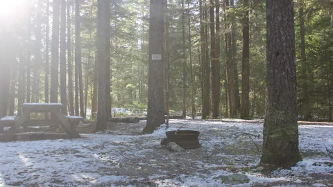 TENT or SMALL RV site with no services — image 3 of 3