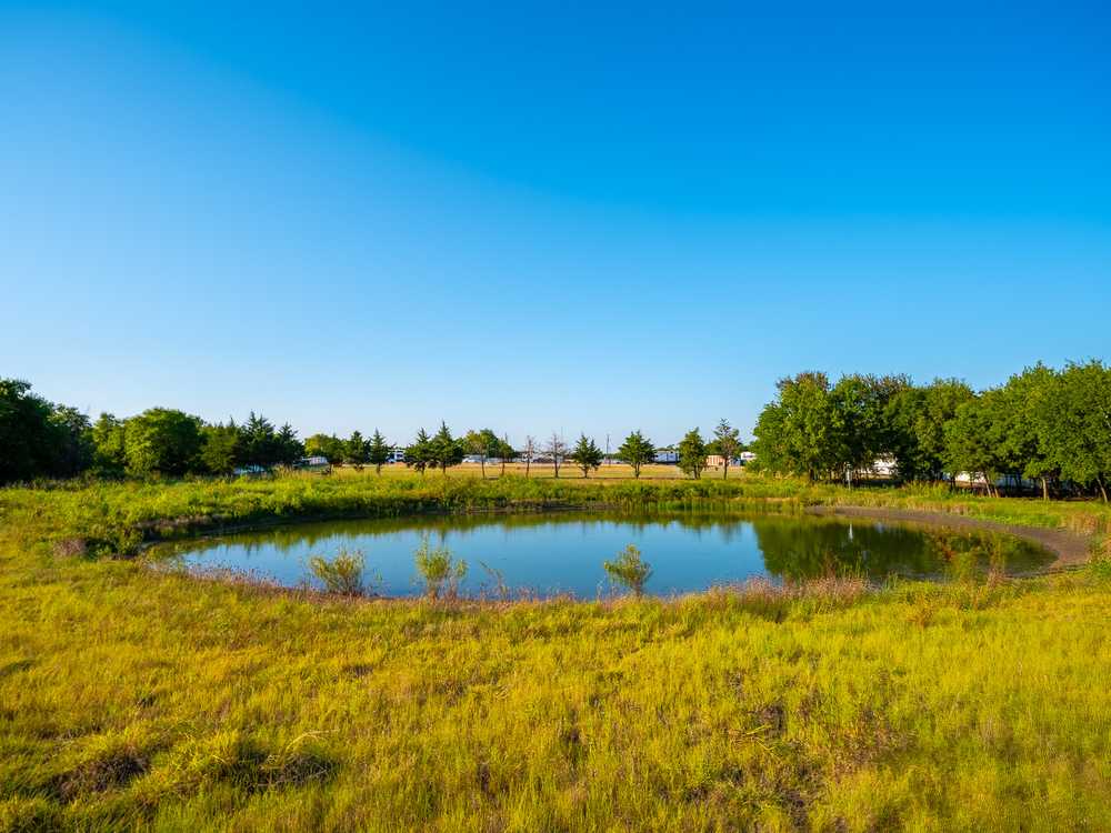 Fannin Meadows RV Park, Blue Ridge, Texas - Photo 5