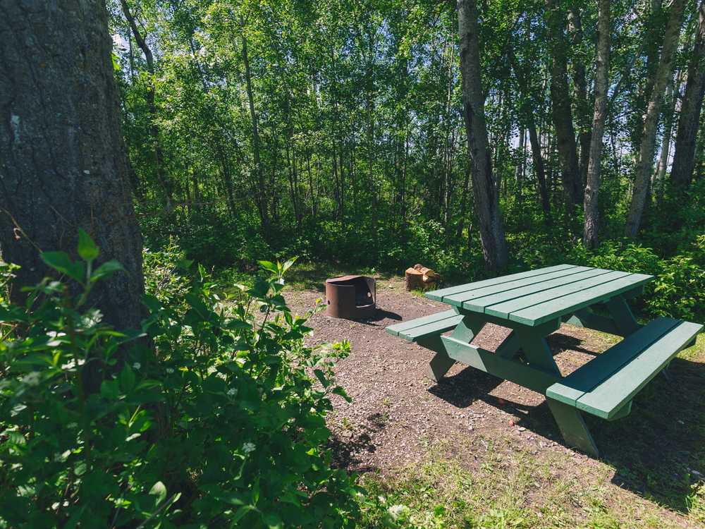Hommy Park, Hythe, Alberta - Photo 3