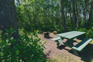 Hommy Park Campground – photo 3