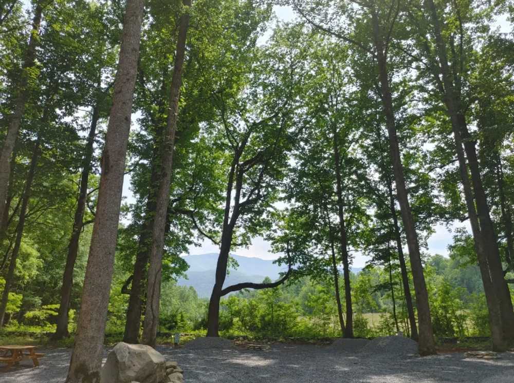 Smoky Mountain Hidden Stills RV Campground, Cosby, Tennessee - Photo 5