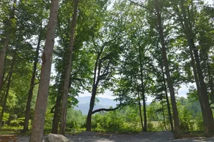 Smoky Mountain Hidden Stills RV Campground – photo 5