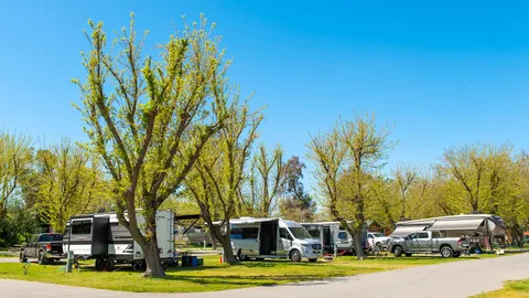 Premium Pull-Thru RV Site — image 2 of 5