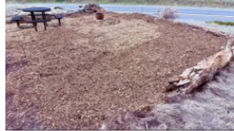 Budget Primitive Tent Site — image 1 of 2