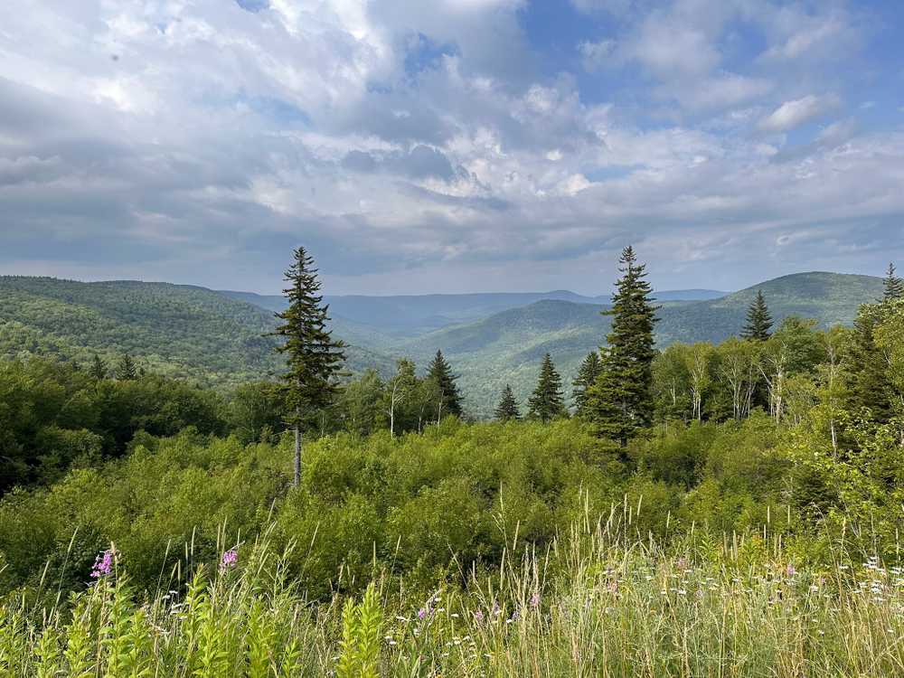 Park Image 12