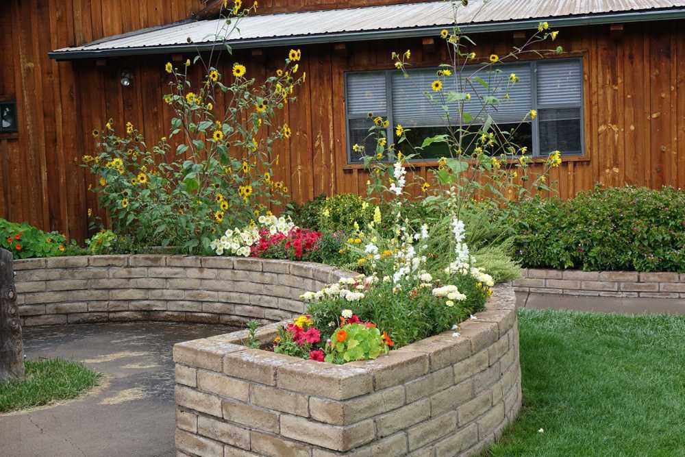 Bear Paw RV Resort (Age Restricted 55+) - Photo 4