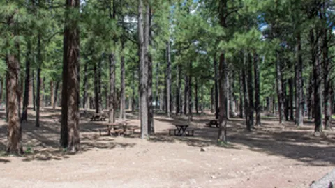 Group Site — image 1 of 4