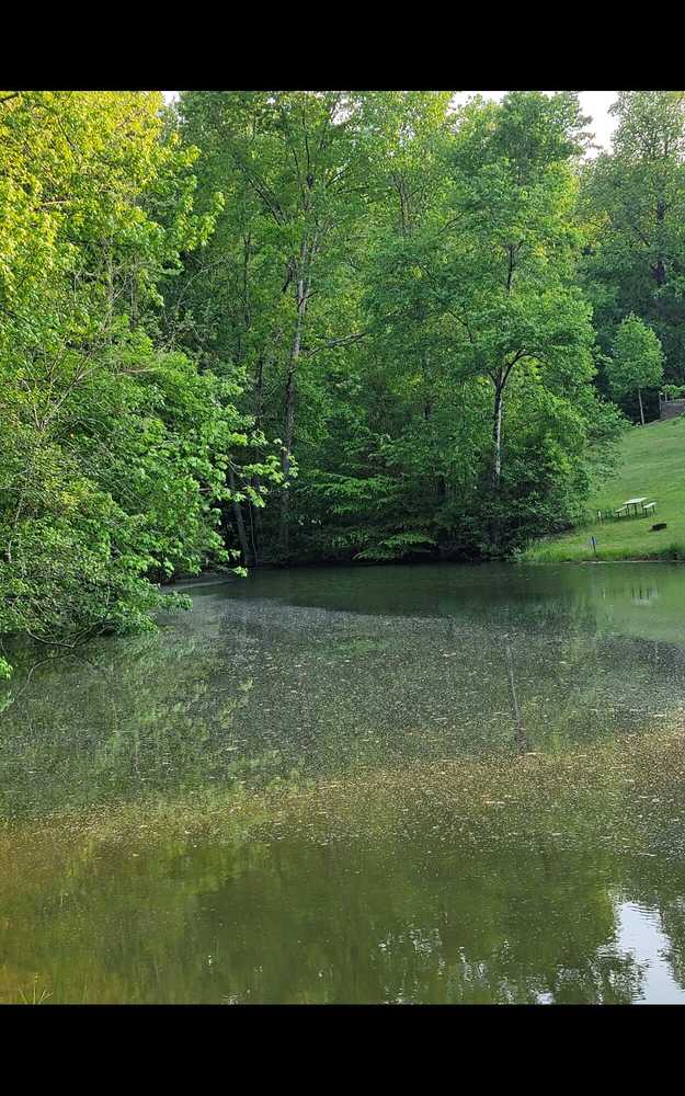 Park Image 22