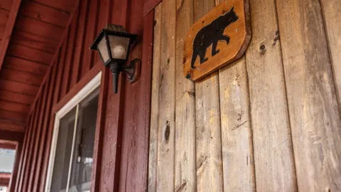 Cabin 3 - Bear — image 7 of 7
