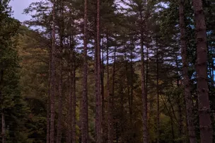 Trout Creek Campground – photo 4