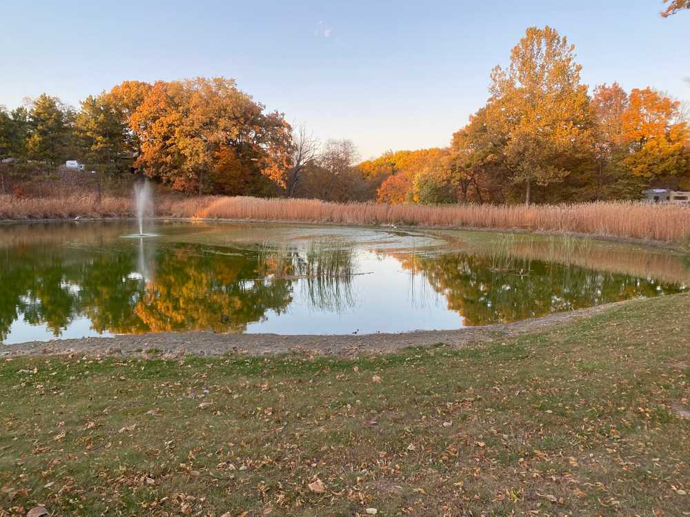 River Oaks RV Park - Photo 5
