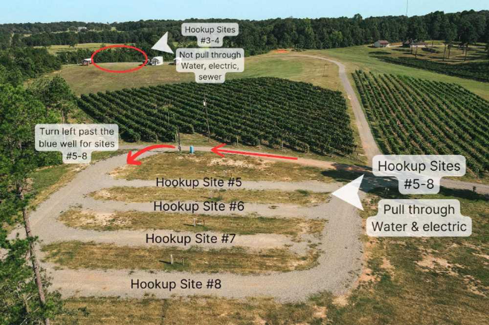 Landry Vineyards Cottages & RV Sites, West Monroe, Louisiana - Photo 3