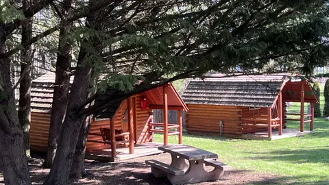 One Room Cabin - Pet Friendly — image 1 of 3
