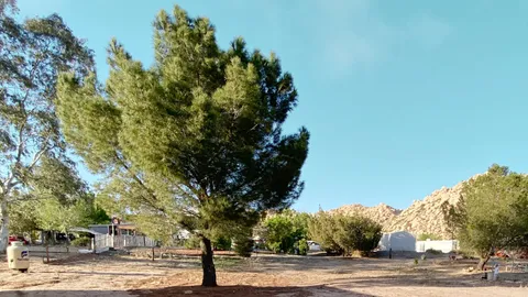 WHITE SECTION - 20/30 AMP MULTI-USE CAMP/RV SITE — image 1 of 10