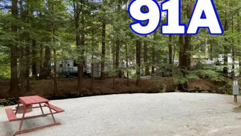 Standard Tent/Pop-Up Site (W/E/C) — image 2 of 9