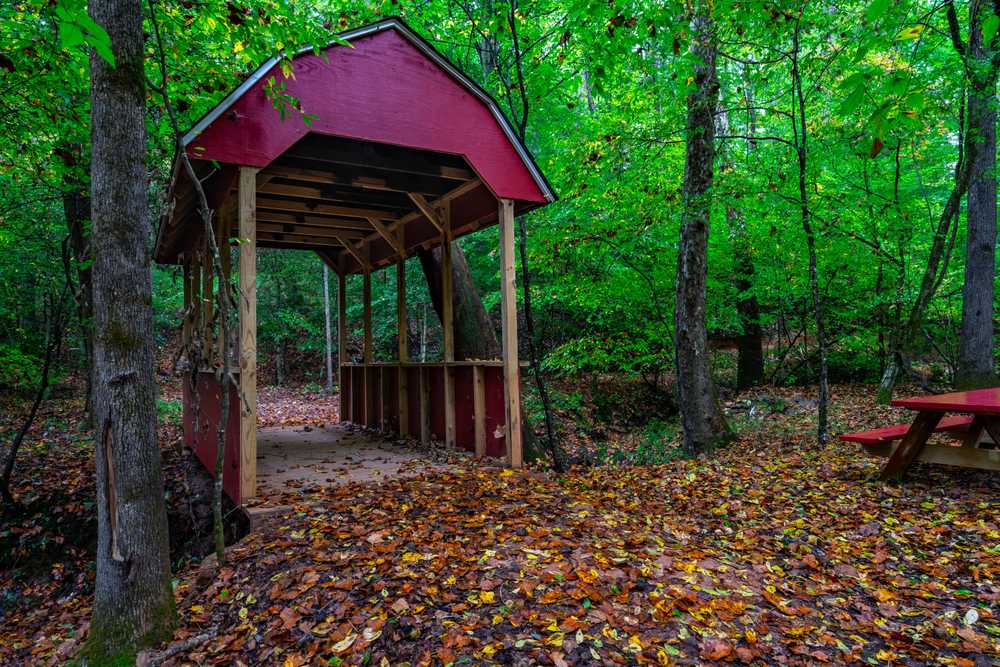 Ivy Acres RV Park, Piedmont, South Carolina - Photo 5