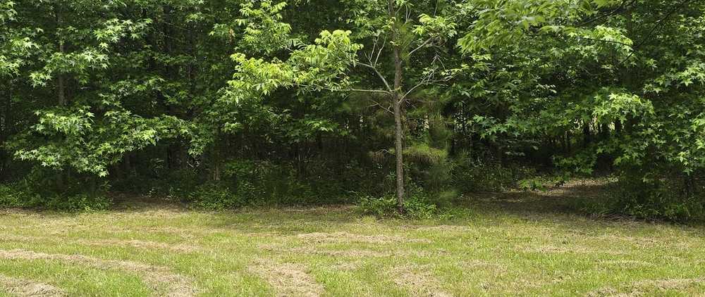 Park Image 13