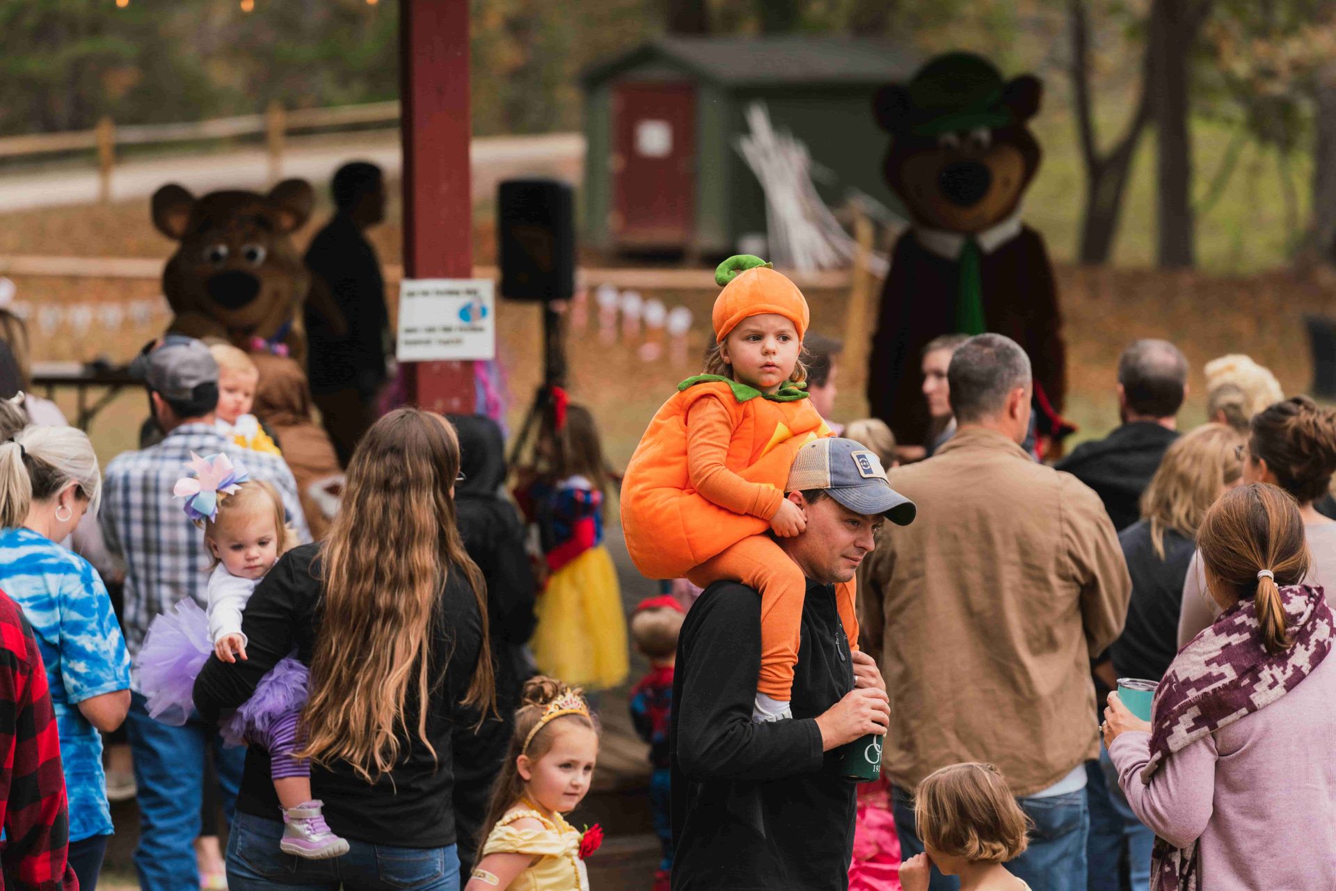 Yogi Bear's Jellystone Park™ Camp-Resort: Golden Valley