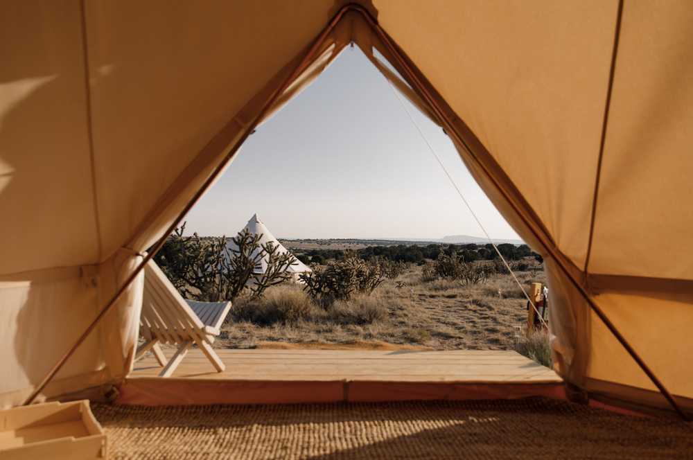 KitFox, Lamy, New Mexico - Photo 4