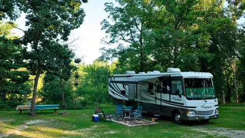 50 Amp Back-In W/E RV Site — image 2 of 2