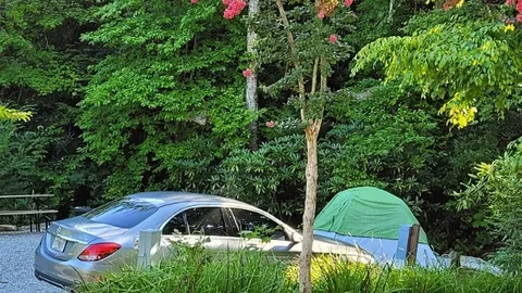 Tent Site — image 1 of 2