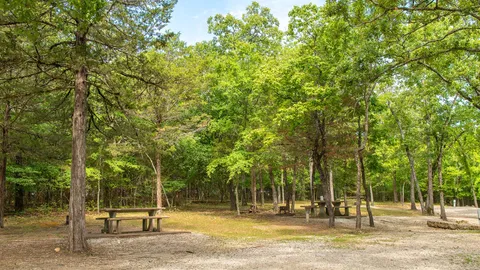 Basic RV/Tent Site — image 1 of 4