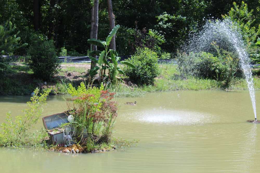 Ladson RV Park - Photo 3