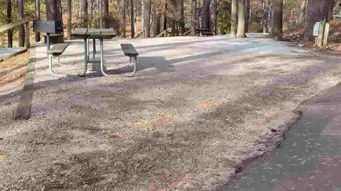 50 AMP Broad River Interior Campsite — image 2 of 8