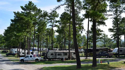 Premium Pull-Thru RV Site — image 4 of 4