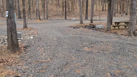 20/30/50 Amp Pull Through Creek View — image 2 of 2