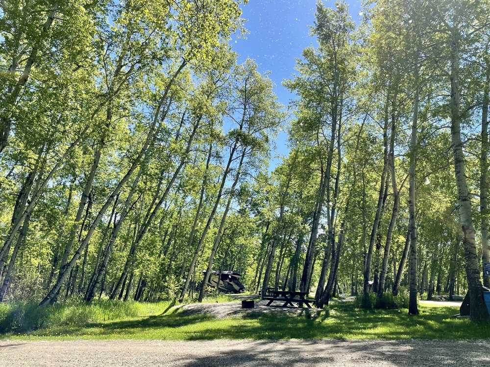 Park Image 5