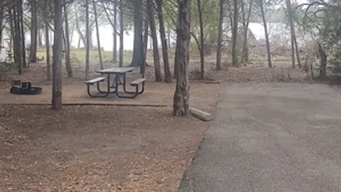 20/30/50 Amp Water & Electric Waterfront RV Site — image 2 of 2