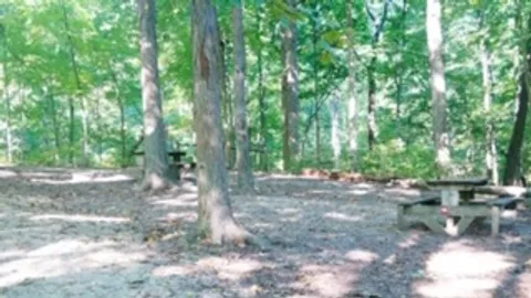 Primitive tent site - Non-Electric — image 1 of 4