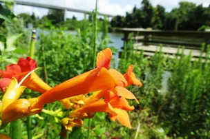 FM 521 River Park – photo 5