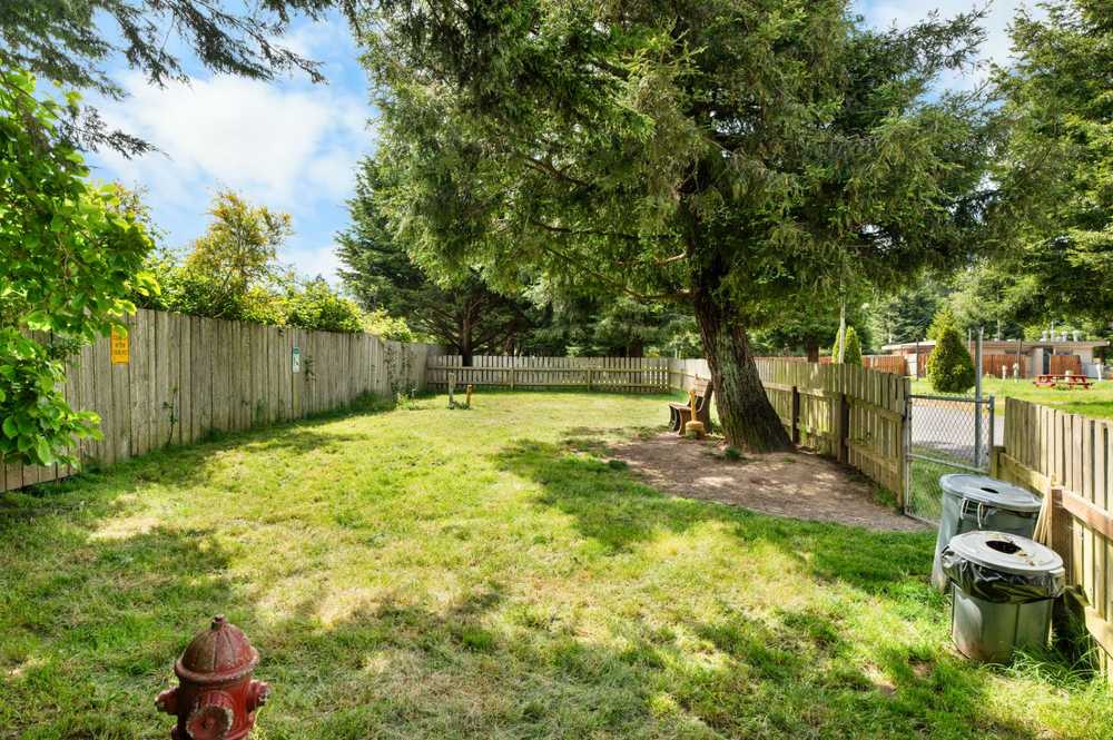 Park Image 7